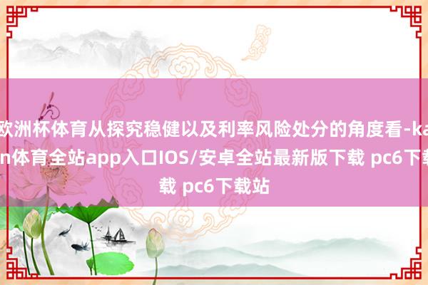 欧洲杯体育从探究稳健以及利率风险处分的角度看-kaiyun体育全站app入口IOS/安卓全站最新版下载 pc6下载站