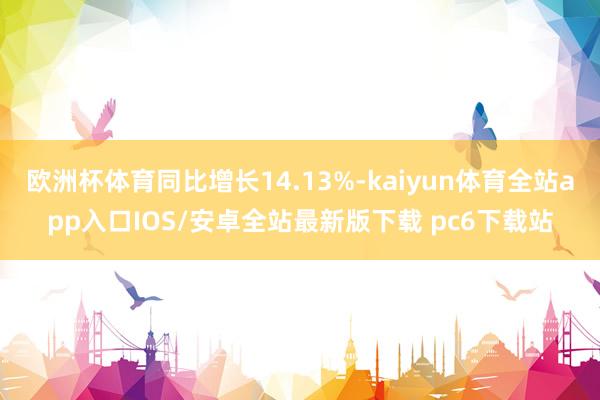欧洲杯体育同比增长14.13%-kaiyun体育全站app入口IOS/安卓全站最新版下载 pc6下载站