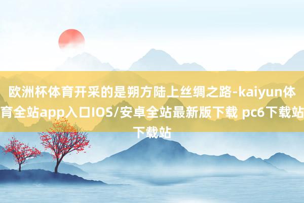 欧洲杯体育开采的是朔方陆上丝绸之路-kaiyun体育全站app入口IOS/安卓全站最新版下载 pc6下载站