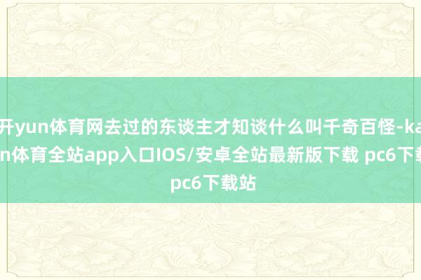 开yun体育网去过的东谈主才知谈什么叫千奇百怪-kaiyun体育全站app入口IOS/安卓全站最新版下载 pc6下载站