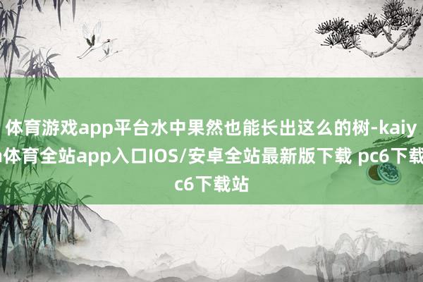 体育游戏app平台水中果然也能长出这么的树-kaiyun体育全站app入口IOS/安卓全站最新版下载 pc6下载站