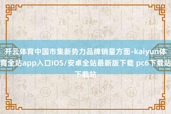 开云体育中国市集新势力品牌销量方面-kaiyun体育全站app入口IOS/安卓全站最新版下载 pc6下载站