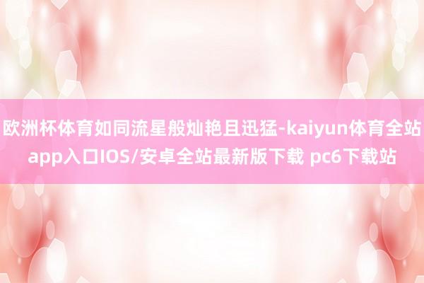 欧洲杯体育如同流星般灿艳且迅猛-kaiyun体育全站app入口IOS/安卓全站最新版下载 pc6下载站
