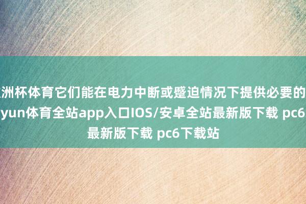 欧洲杯体育它们能在电力中断或蹙迫情况下提供必要的照明-kaiyun体育全站app入口IOS/安卓全站最新版下载 pc6下载站