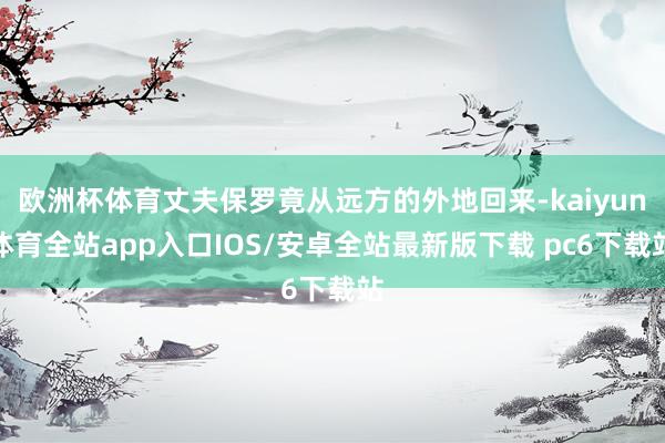 欧洲杯体育丈夫保罗竟从远方的外地回来-kaiyun体育全站app入口IOS/安卓全站最新版下载 pc6下载站
