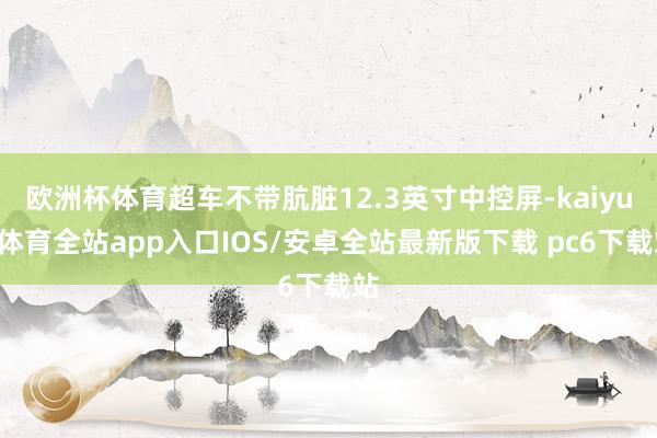 欧洲杯体育超车不带肮脏12.3英寸中控屏-kaiyun体育全站app入口IOS/安卓全站最新版下载 pc6下载站