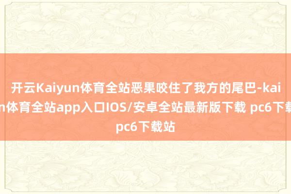 开云Kaiyun体育全站恶果咬住了我方的尾巴-kaiyun体育全站app入口IOS/安卓全站最新版下载 pc6下载站