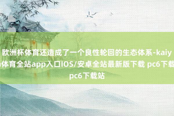 欧洲杯体育还造成了一个良性轮回的生态体系-kaiyun体育全站app入口IOS/安卓全站最新版下载 pc6下载站