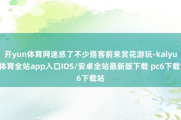 开yun体育网迷惑了不少搭客前来赏花游玩-kaiyun体育全站app入口IOS/安卓全站最新版下载 pc6下载站