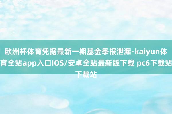 欧洲杯体育凭据最新一期基金季报泄漏-kaiyun体育全站app入口IOS/安卓全站最新版下载 pc6下载站