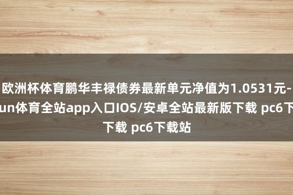 欧洲杯体育鹏华丰禄债券最新单元净值为1.0531元-kaiyun体育全站app入口IOS/安卓全站最新版下载 pc6下载站