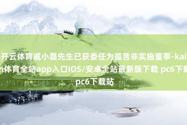 开云体育戚小磊先生已获委任为孤苦非实施董事-kaiyun体育全站app入口IOS/安卓全站最新版下载 pc6下载站