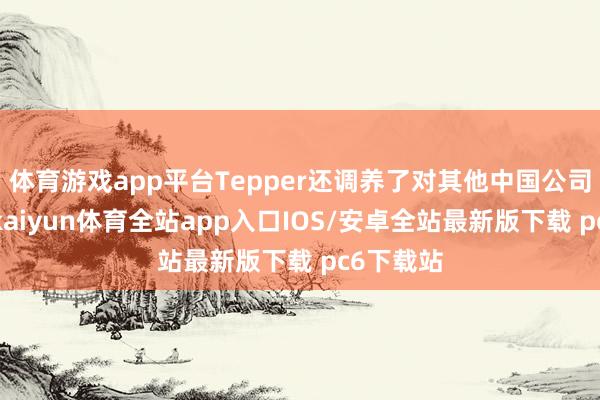 体育游戏app平台Tepper还调养了对其他中国公司的投资-kaiyun体育全站app入口IOS/安卓全站最新版下载 pc6下载站