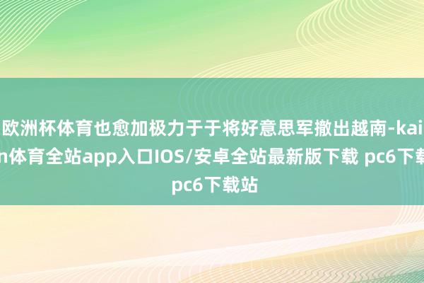 欧洲杯体育也愈加极力于于将好意思军撤出越南-kaiyun体育全站app入口IOS/安卓全站最新版下载 pc6下载站