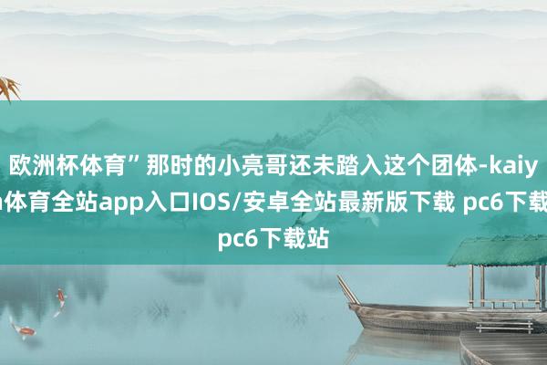 欧洲杯体育”那时的小亮哥还未踏入这个团体-kaiyun体育全站app入口IOS/安卓全站最新版下载 pc6下载站