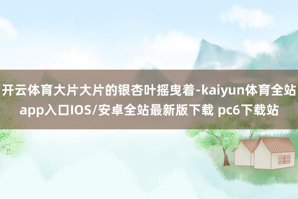 开云体育大片大片的银杏叶摇曳着-kaiyun体育全站app入口IOS/安卓全站最新版下载 pc6下载站