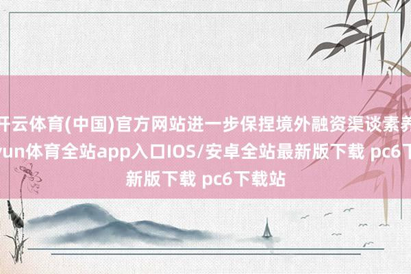 开云体育(中国)官方网站进一步保捏境外融资渠谈素养-kaiyun体育全站app入口IOS/安卓全站最新版下载 pc6下载站