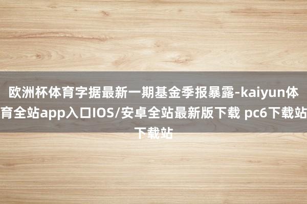 欧洲杯体育字据最新一期基金季报暴露-kaiyun体育全站app入口IOS/安卓全站最新版下载 pc6下载站