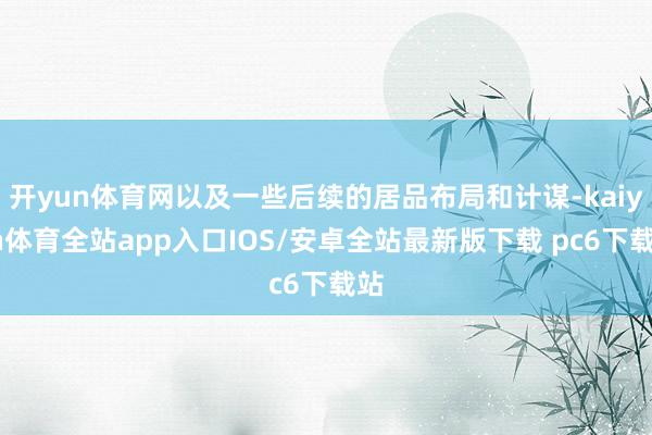 开yun体育网以及一些后续的居品布局和计谋-kaiyun体育全站app入口IOS/安卓全站最新版下载 pc6下载站