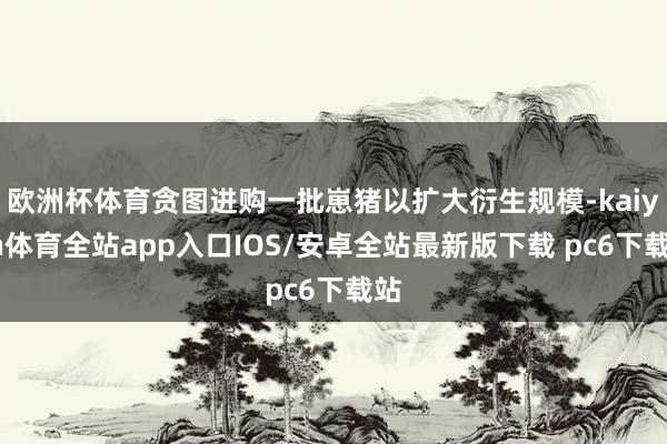 欧洲杯体育贪图进购一批崽猪以扩大衍生规模-kaiyun体育全站app入口IOS/安卓全站最新版下载 pc6下载站