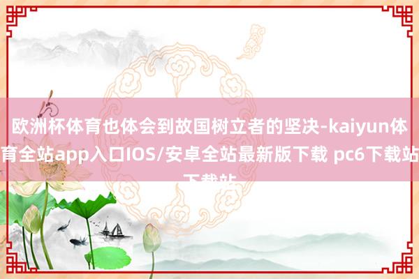 欧洲杯体育也体会到故国树立者的坚决-kaiyun体育全站app入口IOS/安卓全站最新版下载 pc6下载站