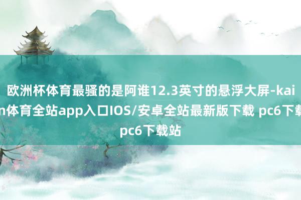 欧洲杯体育最骚的是阿谁12.3英寸的悬浮大屏-kaiyun体育全站app入口IOS/安卓全站最新版下载 pc6下载站