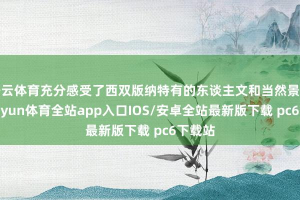 开云体育充分感受了西双版纳特有的东谈主文和当然景不雅-kaiyun体育全站app入口IOS/安卓全站最新版下载 pc6下载站