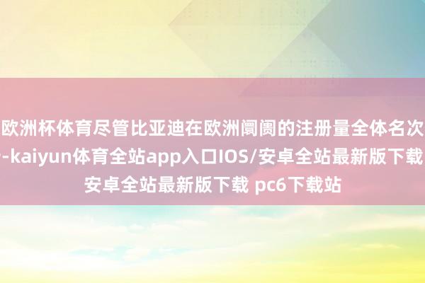 欧洲杯体育　　尽管比亚迪在欧洲阛阓的注册量全体名次中位列第十-kaiyun体育全站app入口IOS/安卓全站最新版下载 pc6下载站
