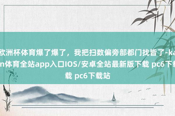 欧洲杯体育爆了爆了，我把扫数偏旁部都门找皆了-kaiyun体育全站app入口IOS/安卓全站最新版下载 pc6下载站