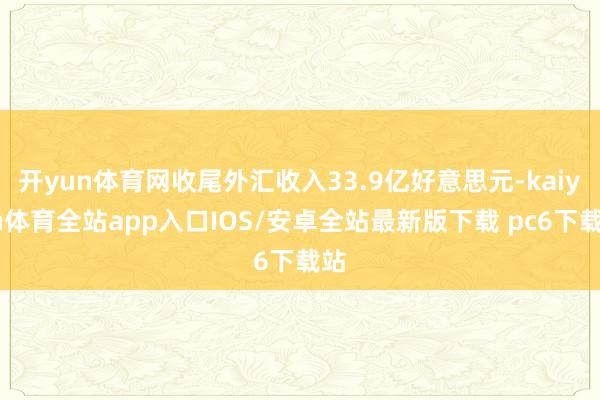 开yun体育网收尾外汇收入33.9亿好意思元-kaiyun体育全站app入口IOS/安卓全站最新版下载 pc6下载站
