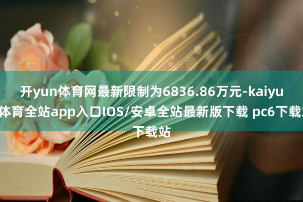 开yun体育网最新限制为6836.86万元-kaiyun体育全站app入口IOS/安卓全站最新版下载 pc6下载站