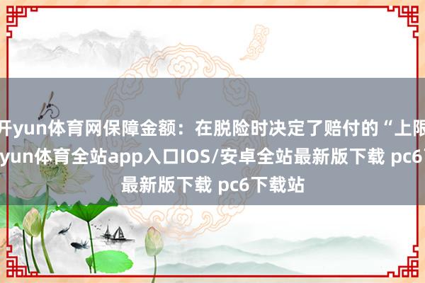 开yun体育网保障金额：在脱险时决定了赔付的“上限”-kaiyun体育全站app入口IOS/安卓全站最新版下载 pc6下载站