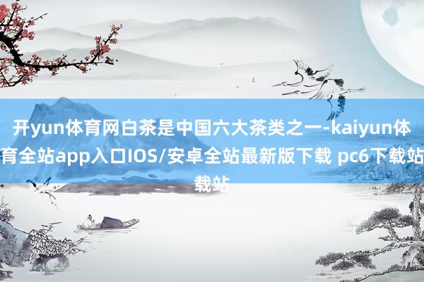 开yun体育网白茶是中国六大茶类之一-kaiyun体育全站app入口IOS/安卓全站最新版下载 pc6下载站