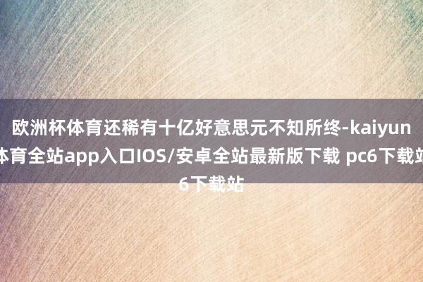 欧洲杯体育还稀有十亿好意思元不知所终-kaiyun体育全站app入口IOS/安卓全站最新版下载 pc6下载站