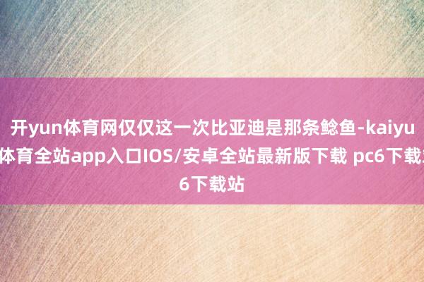 开yun体育网仅仅这一次比亚迪是那条鲶鱼-kaiyun体育全站app入口IOS/安卓全站最新版下载 pc6下载站