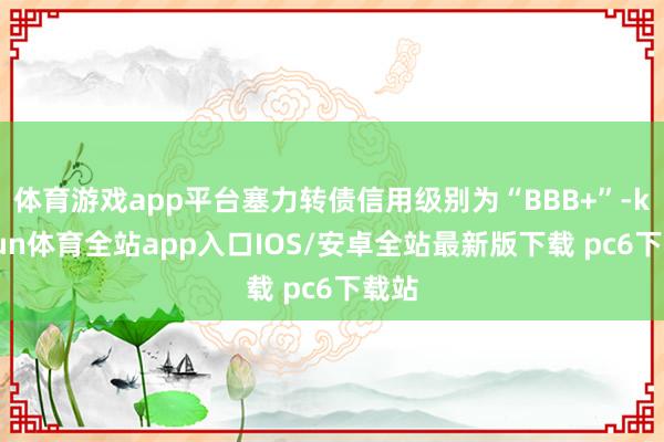 体育游戏app平台塞力转债信用级别为“BBB+”-kaiyun体育全站app入口IOS/安卓全站最新版下载 pc6下载站