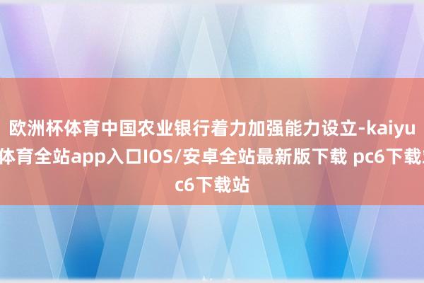 欧洲杯体育中国农业银行着力加强能力设立-kaiyun体育全站app入口IOS/安卓全站最新版下载 pc6下载站