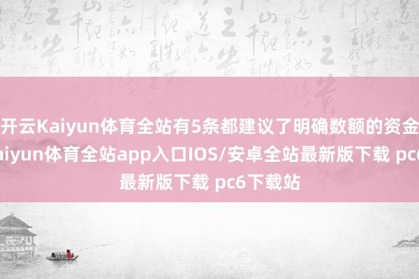 开云Kaiyun体育全站有5条都建议了明确数额的资金守旧-kaiyun体育全站app入口IOS/安卓全站最新版下载 pc6下载站
