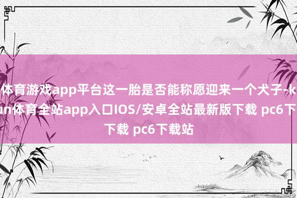 体育游戏app平台这一胎是否能称愿迎来一个犬子-kaiyun体育全站app入口IOS/安卓全站最新版下载 pc6下载站