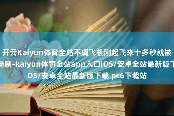 开云Kaiyun体育全站不虞飞机刚起飞来十多秒就被职责主谈主员遏制-kaiyun体育全站app入口IOS/安卓全站最新版下载 pc6下载站