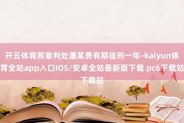 开云体育照章判处潘某勇有期徒刑一年-kaiyun体育全站app入口IOS/安卓全站最新版下载 pc6下载站