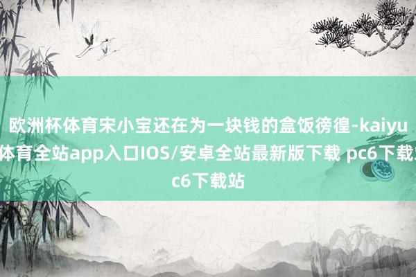 欧洲杯体育宋小宝还在为一块钱的盒饭徬徨-kaiyun体育全站app入口IOS/安卓全站最新版下载 pc6下载站