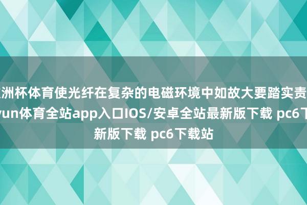 欧洲杯体育使光纤在复杂的电磁环境中如故大要踏实责任-kaiyun体育全站app入口IOS/安卓全站最新版下载 pc6下载站