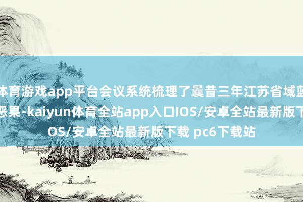 体育游戏app平台会议系统梳理了曩昔三年江苏省域蓝天援手队发展恶果-kaiyun体育全站app入口IOS/安卓全站最新版下载 pc6下载站