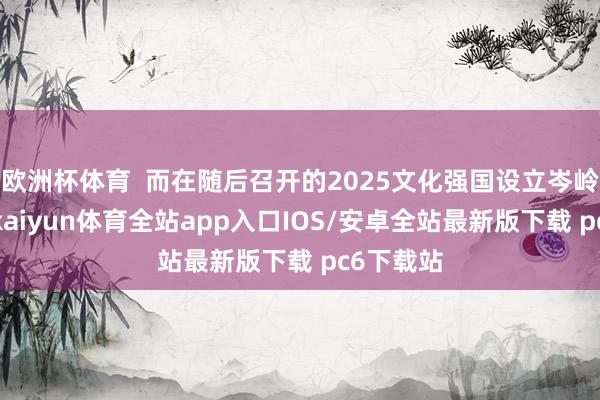 欧洲杯体育  而在随后召开的2025文化强国设立岑岭论坛上-kaiyun体育全站app入口IOS/安卓全站最新版下载 pc6下载站