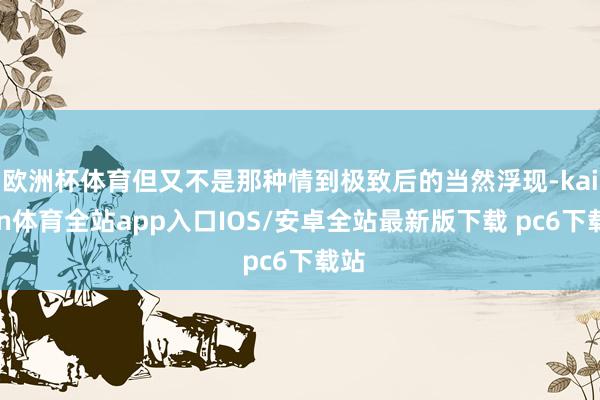 欧洲杯体育但又不是那种情到极致后的当然浮现-kaiyun体育全站app入口IOS/安卓全站最新版下载 pc6下载站