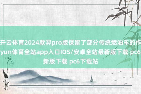 开云体育2024款羿pro版保留了部分传统燃油车的作风-kaiyun体育全站app入口IOS/安卓全站最新版下载 pc6下载站