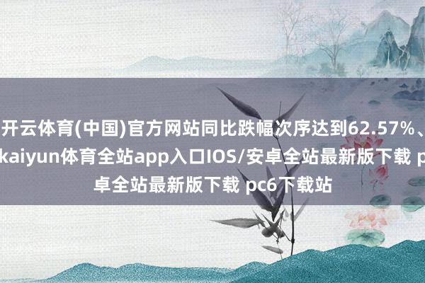 开云体育(中国)官方网站同比跌幅次序达到62.57%、84.35%-kaiyun体育全站app入口IOS/安卓全站最新版下载 pc6下载站