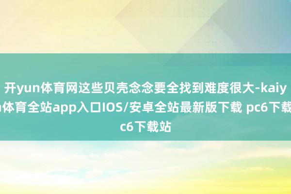 开yun体育网这些贝壳念念要全找到难度很大-kaiyun体育全站app入口IOS/安卓全站最新版下载 pc6下载站
