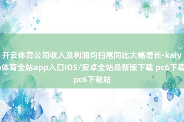 开云体育公司收入及利润均扫尾同比大幅增长-kaiyun体育全站app入口IOS/安卓全站最新版下载 pc6下载站